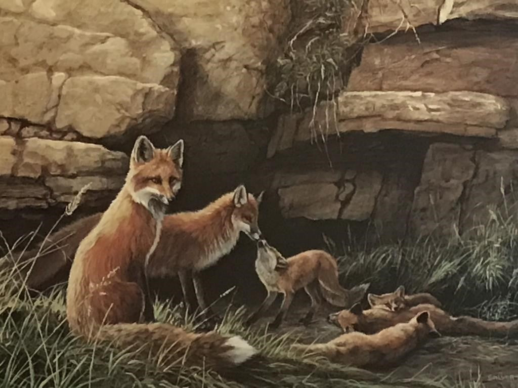 Lissa Calvert Limited Edition Print - Foxes in Summer - Canadian Wildlife