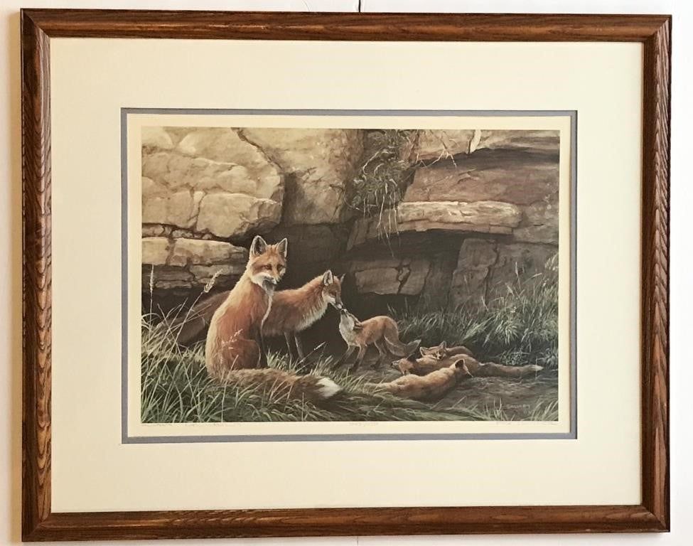 Lissa Calvert Limited Edition Print - Foxes in Summer - Canadian Wildlife